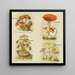 Petit atlas des champignons Pl9 - Delachaux Niestlé — framed artwork on a wall
