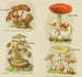 Petit atlas des champignons Pl9 - Delachaux Niestlé — artwork view