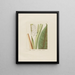 J'adore le curcuma - Petr Martynovich Gofman — framed artwork on a wall