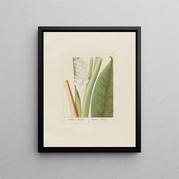J'adore le curcuma - Petr Martynovich Gofman — framed artwork on a wall