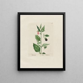 Petr Martynovich Gofman - Atropa Belladonna.webp