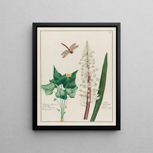 Contrayerva officinalis and Scilla - Petr Martynovich Gofman — framed artwork on a wall