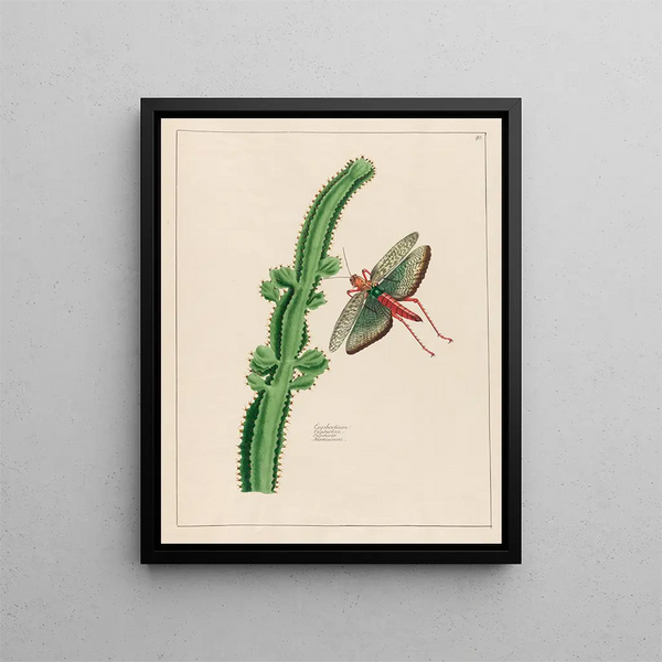 Euphorbia Painting - Petr Martynovich Gofman — framed artwork on a wall