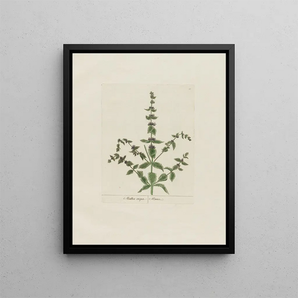 Mint Crispy - Petr Martynovich Gofman — framed artwork on a wall