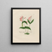 Spigelia marylandica - Petr Martynovich Gofman — framed artwork on a wall