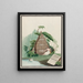 Title Page - Petr Martynovich Gofman — framed artwork on a wall