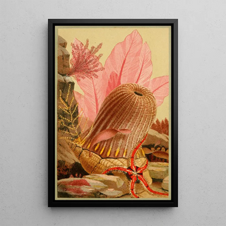 Philip Henry Gosse - The Parasitic Anemone.webp