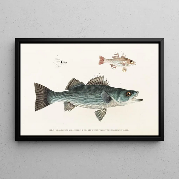 Fauna japonica Pl002 - Philipp Franz Balthasar von Siebold — framed artwork on a wall