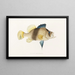 Fauna japonica Pl003 - Philipp Franz Balthasar von Siebold — framed artwork on a wall