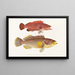 Faune japonaise Pl004 - Philipp Franz Balthasar von Siebold — framed artwork on a wall