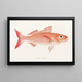Fauna japonica Pl005 - Philipp Franz Balthasar von Siebold — framed artwork on a wall
