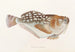 Japanese Fauna Pl017 - Philipp Franz Balthasar von Siebold — artwork view