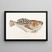 Japanese Fauna Pl017 - Philipp Franz Balthasar von Siebold — framed artwork on a wall