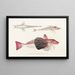 Fauna japonica Pl023 - Philipp Franz Balthasar von Siebold — framed artwork on a wall