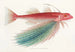 Fauna japonica Pl026 - Philipp Franz Balthasar von Siebold — artwork view