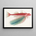 Fauna japonica Pl026 - Philipp Franz Balthasar von Siebold — framed artwork on a wall