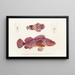 Faune japonaise Pl028 - Philipp Franz Balthasar von Siebold — framed artwork on a wall