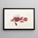 Fauna japonica Pl030 - Philipp Franz Balthasar von Siebold — framed artwork on a wall