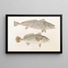 Fauna Japonica Pl036 - Philipp Franz Balthasar von Siebold — framed artwork on a wall