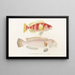 Faune japonaise Pl041 - Philipp Franz Balthasar von Siebold — framed artwork on a wall