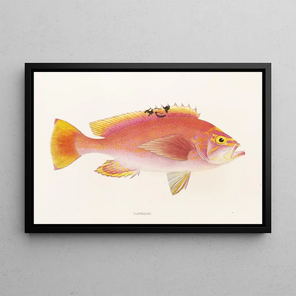 Japanese Fauna Pl043 - Philipp Franz Balthasar von Siebold — framed artwork on a wall