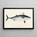 Fauna japonica Pl061 - Philipp Franz Balthasar von Siebold — framed artwork on a wall