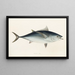 Faune japonaise Pl063 - Philipp Franz Balthasar von Siebold — framed artwork on a wall