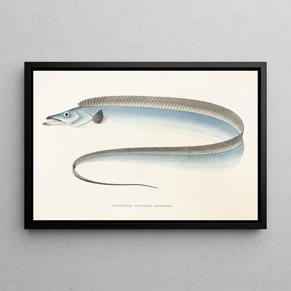 Fauna Japonica Pl067 - Philipp Franz Balthasar von Siebold — framed artwork on a wall