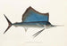 Fauna japonica Pl068 - Philipp Franz Balthasar von Siebold — artwork view