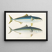 Fauna japonica Pl075 - Philipp Franz Balthasar von Siebold — framed artwork on a wall