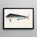 Japanese Fauna Pl077 - Philipp Franz Balthasar von Siebold — framed artwork on a wall