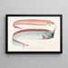 Fauna japonica Pl085 - Philipp Franz Balthasar von Siebold — framed artwork on a wall