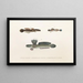 Faune japonaise Pl090 - Philipp Franz Balthasar von Siebold — framed artwork on a wall