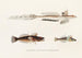 Faune japonaise Pl094 - Philipp Franz Balthasar von Siebold — artwork view