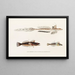 Faune japonaise Pl094 - Philipp Franz Balthasar von Siebold — framed artwork on a wall
