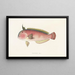 Japanese Fauna Pl104 - Philipp Franz Balthasar von Siebold — framed artwork on a wall