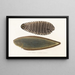 Fauna japonica Pl112 - Philipp Franz Balthasar von Siebold — framed artwork on a wall