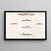 Fauna japonica Pl120 - Philipp Franz Balthasar von Siebold — framed artwork on a wall
