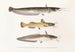 Fauna japonica Pl. 121 - Philipp Franz Balthasar von Siebold — artwork view