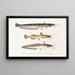 Fauna japonica Pl. 121 - Philipp Franz Balthasar von Siebold — framed artwork on a wall
