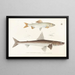 Fauna japonica Pl122 - Philipp Franz Balthasar von Siebold — framed artwork on a wall