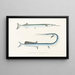 Faune du Japon Pl127 - Philipp Franz Balthasar von Siebold — framed artwork on a wall