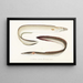 Fauna japonica Pl130 - Philipp Franz Balthasar von Siebold — framed artwork on a wall