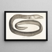 Fauna japonica Pl133 - Philipp Franz Balthasar von Siebold — framed artwork on a wall