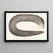 Fauna japonica Pl136 - Philipp Franz Balthasar von Siebold — framed artwork on a wall