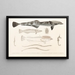 Fauna japonica Pl137 - Philipp Franz Balthasar von Siebold — framed artwork on a wall