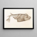 Faune japonaise Pl153 - Philipp Franz Balthasar von Siebold — framed artwork on a wall
