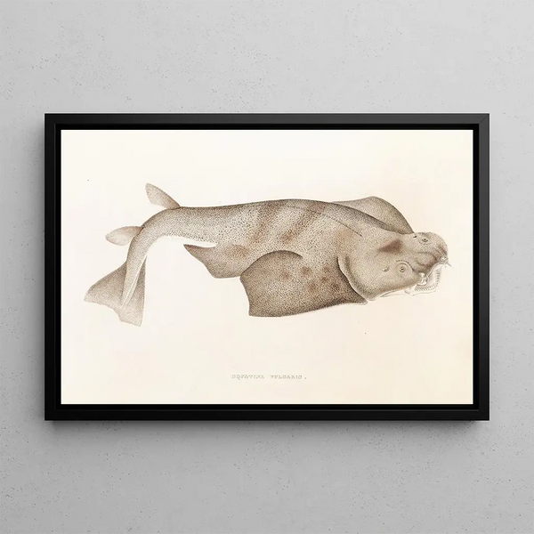 Faune japonaise Pl153 - Philipp Franz Balthasar von Siebold — framed artwork on a wall