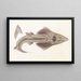 Faune japonaise Pl156 - Philipp Franz Balthasar von Siebold — framed artwork on a wall
