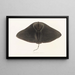 Japanese Fauna Pl158 - Philipp Franz Balthasar von Siebold — framed artwork on a wall